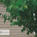 Сайдинг Ю-Пласт TIMBERBLOCK Пихта (Тимберблок) Cахалинская купить в Орске