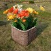 Цветник КАНЬОН купить в Орске